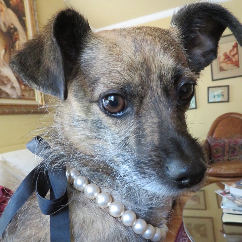 Meet your Posher, Leslie